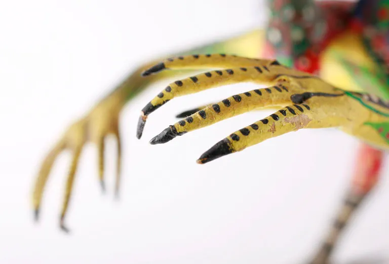 Detail of a bird alebrije on a white background, a yellow, long-fingered claw with rows of black spots and black nails; behind it, out of focus, the other claw and the red and green body.